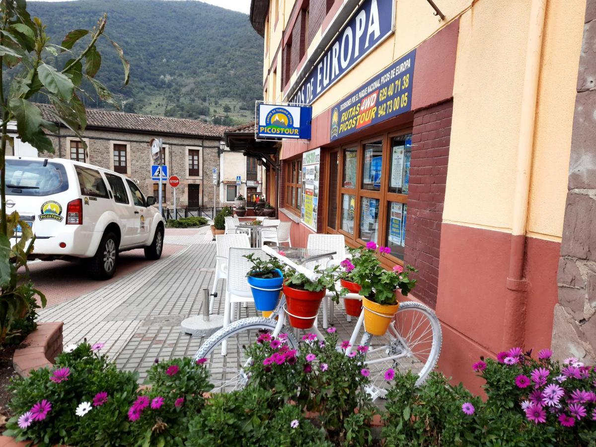 Guest house Picos De Europa