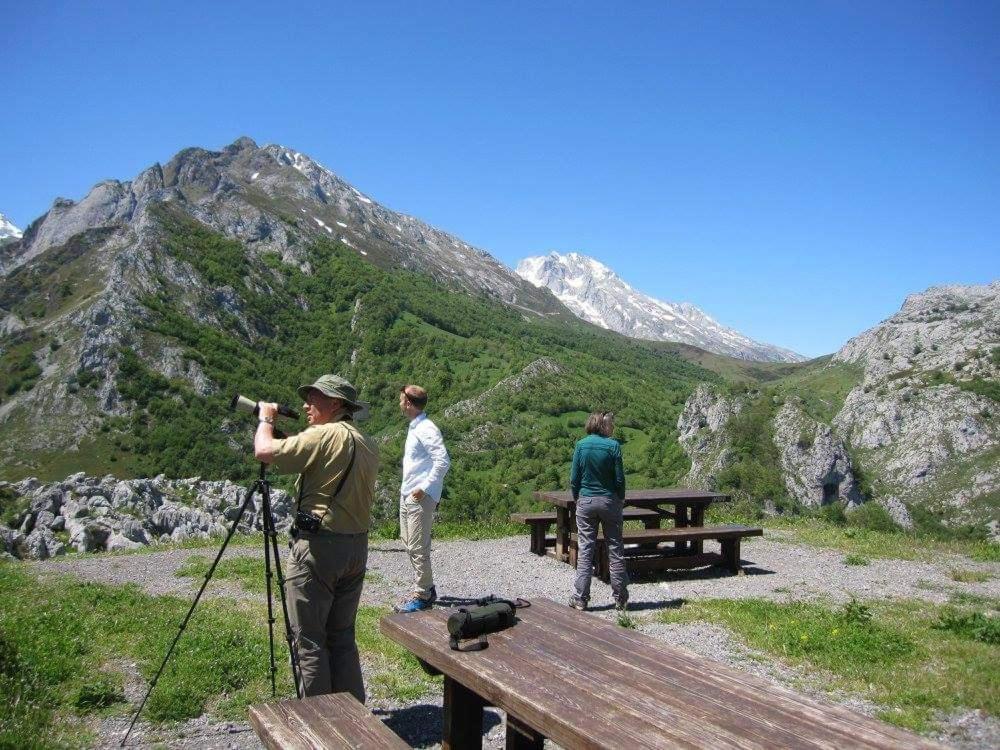 Picos De Europa Guest house