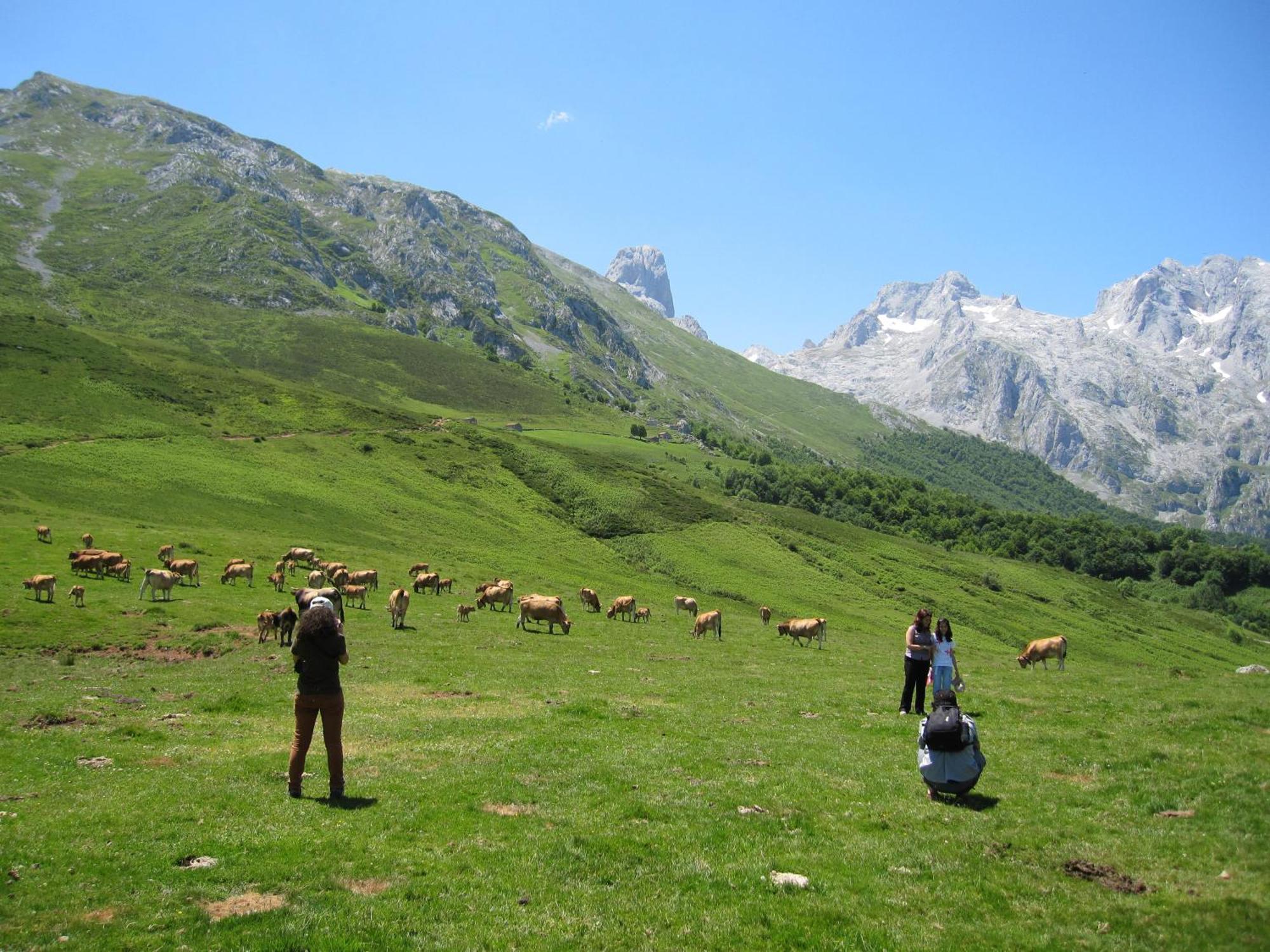 Picos De Europa Gasthof