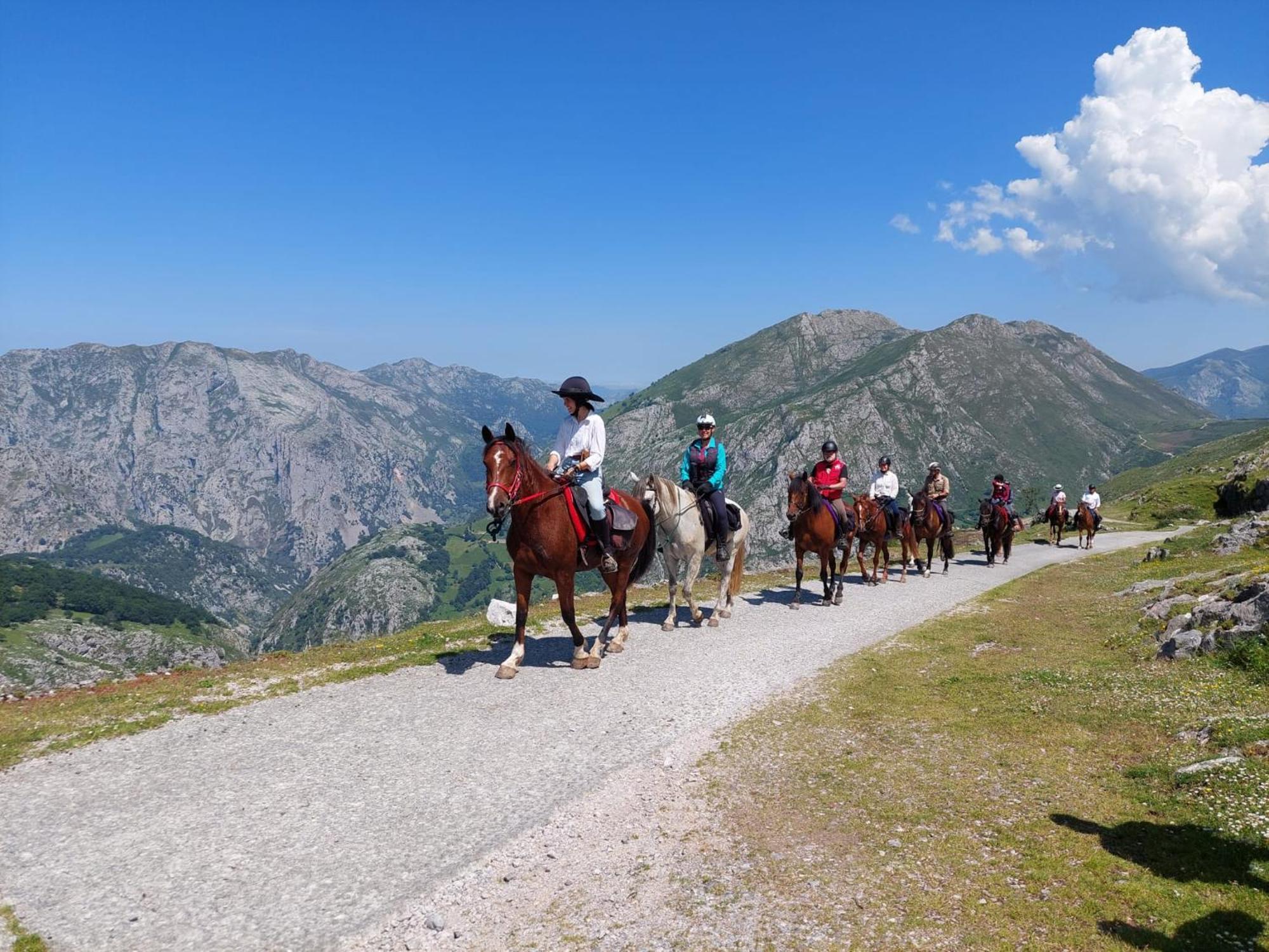 Picos De Europa Gasthof Potes