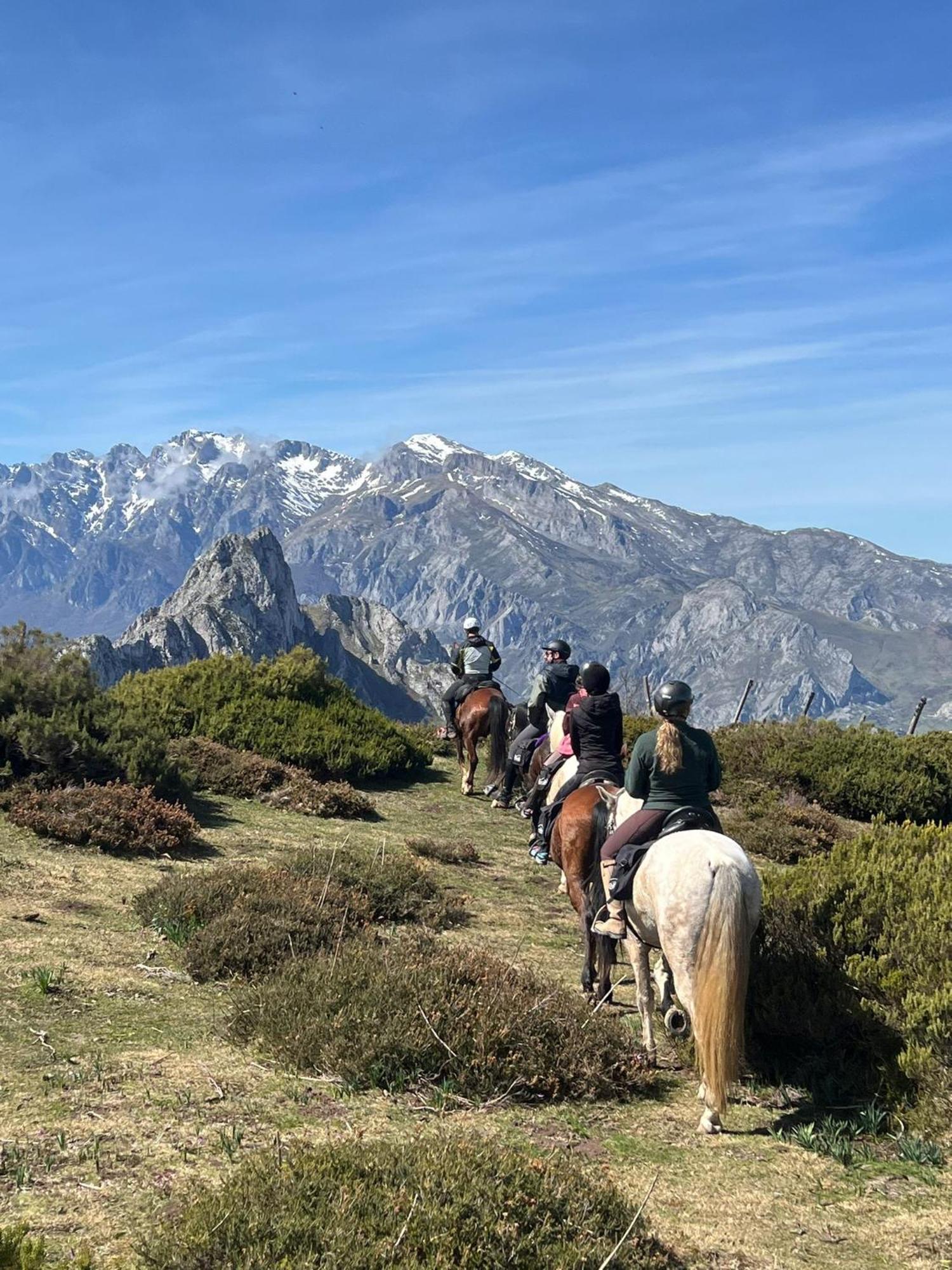 Gasthof Picos De Europa 2*