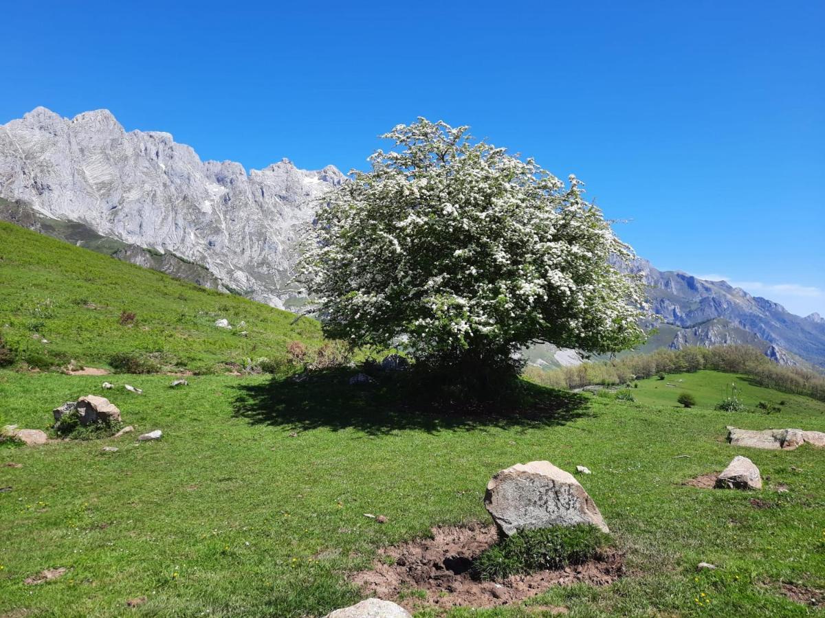 Picos De Europa Guest house Potes